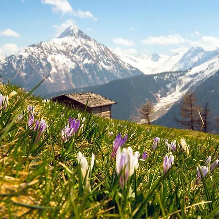 Jasmin Apartament Tux