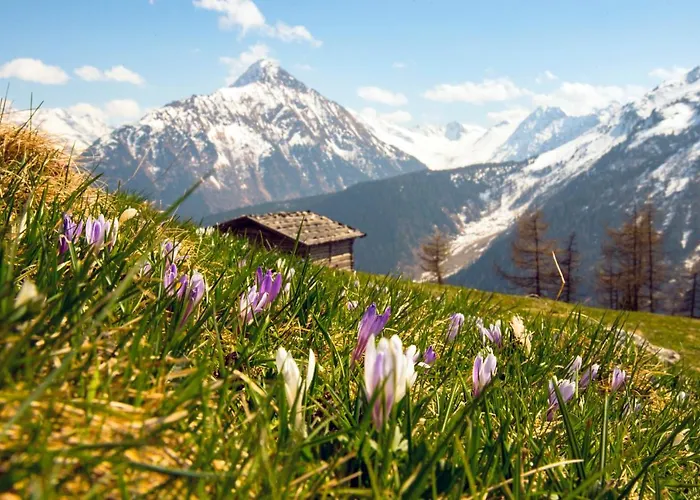 Jasmin Appartement Tux